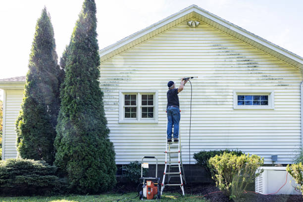 Trusted Truckee, CA Pressure Washing Services Experts